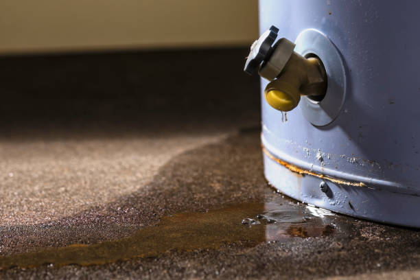  Craig, CO Water damage restoration Pros