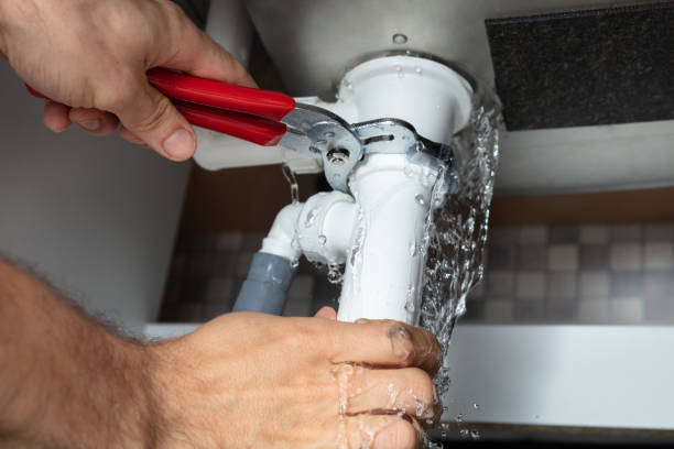 Best Flood restoration services  in Craig, CO