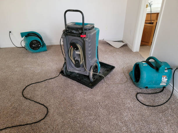Best Commercial water damage restoration  in Craig, CO