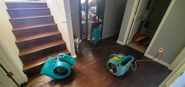 Best Professional water damage repair  in Craig, CO