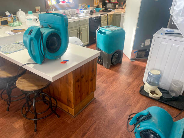 Best Carpet water damage restoration  in Craig, CO