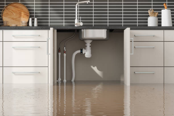 Best 24-hour water damage restoration  in Craig, CO