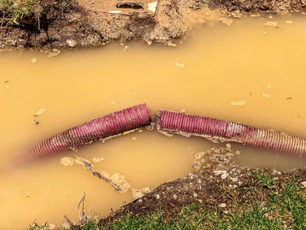 Water damage restoration experts in Craig, CO