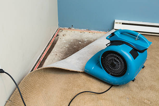 Best Water damage restoration cost  in Craig, CO